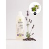Shampoo Indush Olive Lavender 1L (Shampoo & Shower Gel) /