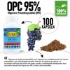 Seuren Nutrients | OPC 95% | Resveratrol 100 Kapseln |