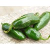 Baker Creek Heirloom Seeds Chile Jalapeño 25 Semillas