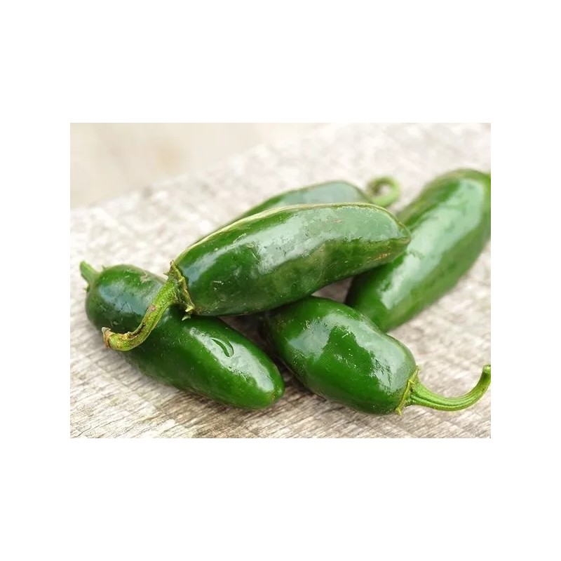 Baker Creek Heirloom Seeds Chile Jalapeño 25 Semillas