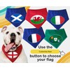 Spoilt Rotten Pets Rugby Ball Shaped Flag Design Wales Italy