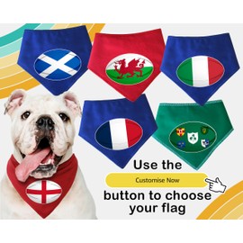 Spoilt Rotten Pets Rugby Ball Shaped Flag Design Wales Italy Scotland Eire France England Ireland Rugby Ball Flag Dog Fancy Dress Dog Bandana