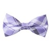 Spring Notion Men's Patterned Bow Tie Lilac