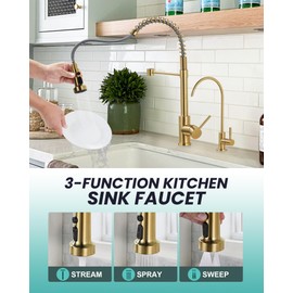 Kitchen Faucet and Water Filter Faucet: Brushed Gold Kitchen Sink Faucet with Drinking Water Faucet - Stainless Steel Single Handle Tap with Pull Down Sprayer for Kitchen Sink Farmhouse Bar
