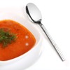 Eudokky 12 Piece Dinner Spoons Tablespoons Set Stainless Steel Soup
