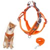 Dog Harness with Dog Lead Set, Air Mesh Breathable Chest
