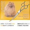 LESNIC Trimming Scissor Curved Scissor Comb, Mini Scissors, Cat Dog