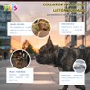 Fancy Pets Collar Extra Chico de Nylon con Bandas Reflejantes