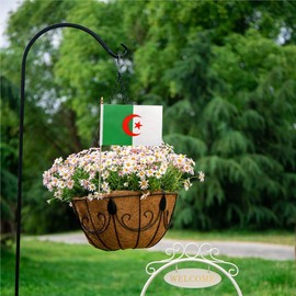20 Pack Small Algeria Flag, Mini Algerian Flags on Stick, Handheld Flags with 12.6inch Wooden Poles for National Day, World Cup,Sports Events, Party Decorations (5×8 Inches)