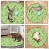 WUSANNA Interactive Cat Toy, Paw Hunting Cat Toy, Interactive Cat