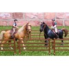 Toyland® Horse & Jump Fence Play Set with Accessories -