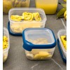 KETER Retractable Containers, Plastic (100% Recycled Polypropylene), Dark Blue, Eco