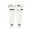 Apieu Nanko Tea Tree Foam 130ml+130ml / 어퓨 난코 티트리