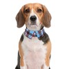 Faleela Cotton Plaid Shirt Style Dog Collar Soft Cute,Boy Dog