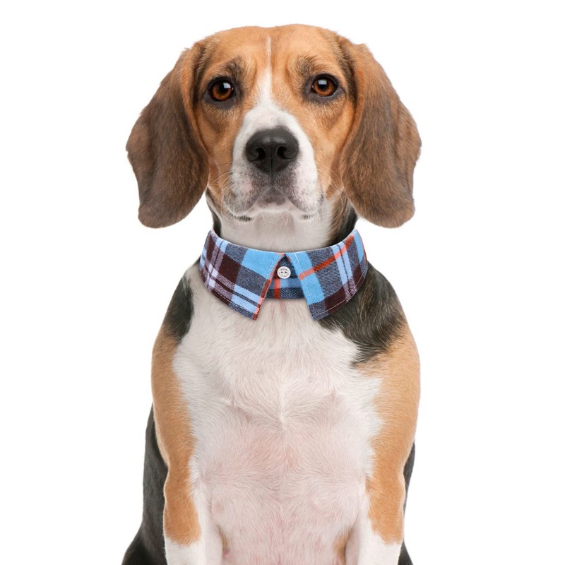 Faleela Cotton Plaid Shirt Style Dog Collar Soft Cute,Boy Dog