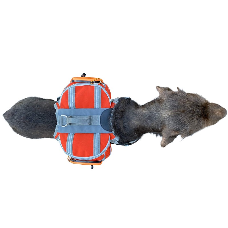 Saddlebag Back Pack & Harness Combo for Dogs 30-100+ lbs.