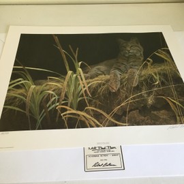 Limited Edition Print Riverbank Retreat-Bobcat-Robert Bateman