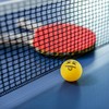 STIGA 6 Pack Emoji Ping Pong Balls - 40mm ITTF