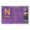 Quarterhouse Periodic Table of Elements Poster Set, Science Classroom Learning
