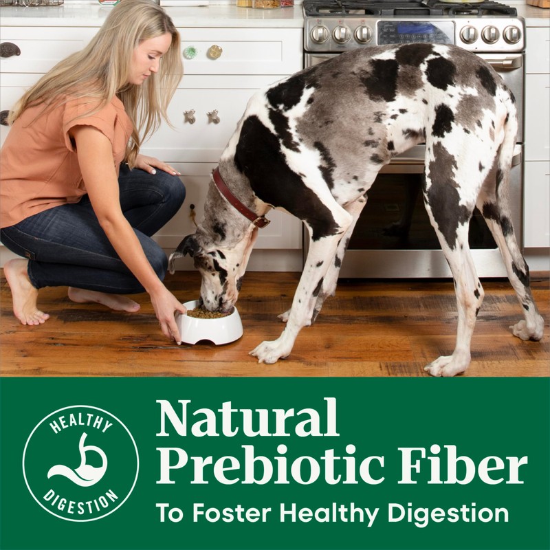 Nutro Natural Choice Adult Dry Dog Food, Chicken & Brown