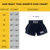 FLUORY Muay Thai - Pantalones cortos de boxeo con estilo