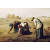 300 Piece Jigsaw Puzzle Millet Gleaner (26x38cm)