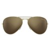 BEX Wesley Polarized Sunglasses (Gold/Gold)