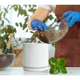 Ceramic Planter Pot with Drainage Hole and Saucer, Indoor Cylinder Round Planter Pot, 6 Inch, White