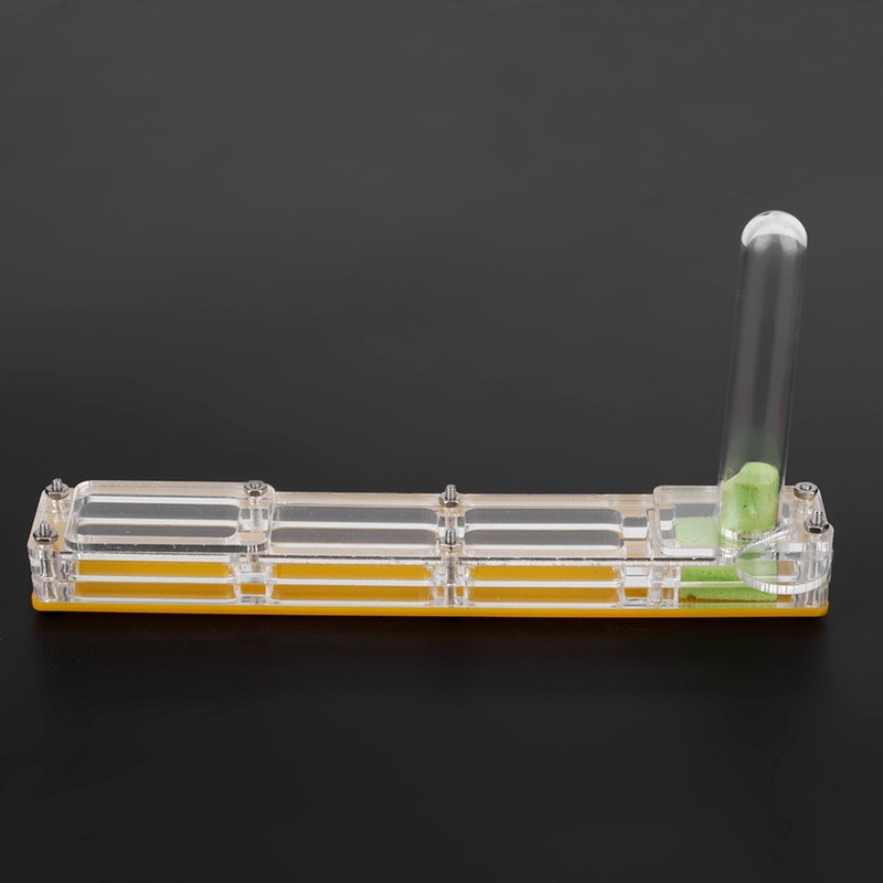 Acrylic Ant Breeding House Nest Formicarium Display Box with Water