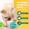 Interactive Dog Toys - 2.5' Squeaky Teething Chew Balls for