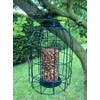 Oakdale Squirrel Resistant Peanut Bird Feeder