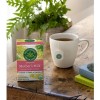 Mother Milk Orgánico Traditional Medicinals