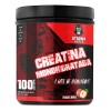 Creatina Monohidratada 500gr Strong Protein 100 Servicios