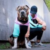 Spark Paws Dog Hoodie Jumper - Premium Quality, Buttery Soft,