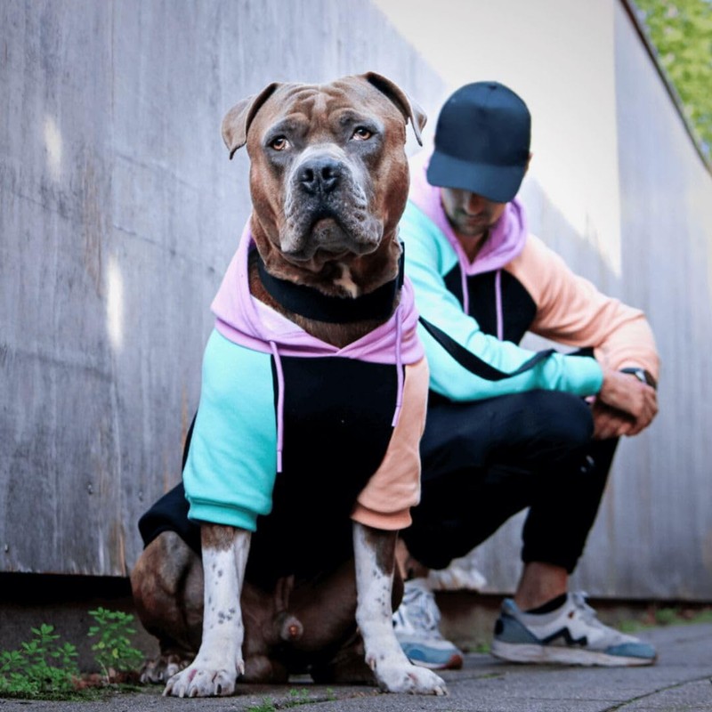 Spark Paws Dog Hoodie Jumper - Premium Quality, Buttery Soft,