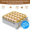 MATICOOPX 20 Egg Incubator with Humidity Display, Egg Candler, Automatic