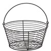 Little Giant® Large Egg Basket | Basket for Carrying and