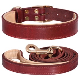 PET ARTIST Genuine Leather Dog Collar and Leash Set, Soft Padded with Metal Buckle, Strong, Cozy, Luxurious Collar for Medium & Large Dogs, Red L