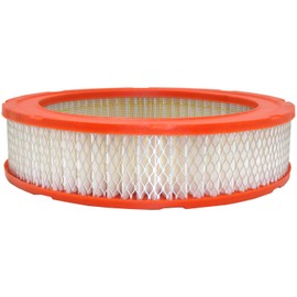 FRAM CA133 Extra Guard - Filtro de aire redondo Plastisol