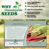 Outsidepride Outsidepride 1000 Seeds Beta Vulgaris Red Swiss Chard Vegetable