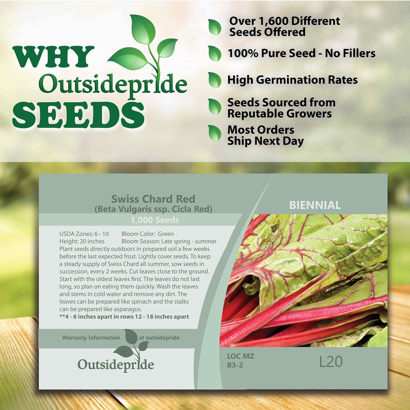 Outsidepride Outsidepride 1000 Seeds Beta Vulgaris Red Swiss Chard Vegetable