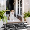 Lzuso Indoor Outdoor Door Mats Welcome Mat Come Back with