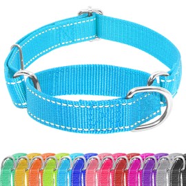 Seyezo Martingale Dog Collar, Slip Martingale Collar for Dogs with No Buckle, Reflective Pet Trainning Collar for Small Medium Large Dog, Adjustable Heavy Duty Nylon No Pull Slip Collar, S, Sky Blue