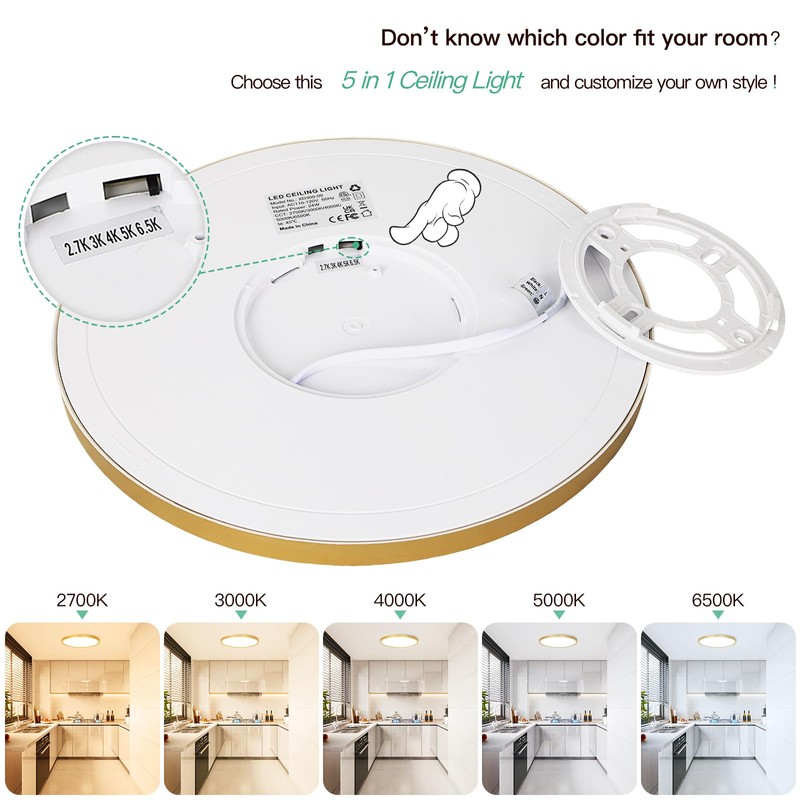 Brightever Gold LED Flush Mount Ceiling Light Fixture, 12 Inch