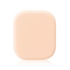 Maquillage Sponge Puff (SF)