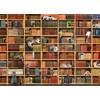 Cobblehill Puzzles 1000 pc -The Cat Library