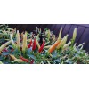 Home-Growth Hot- Crunchy White Eagle Claw Chili Pepper - 30