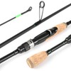 Portable Travel Spinning Fishing Rod Lightweight Carbon Fiber 4 Pieces