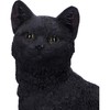 Nemesis Now Familiar Fate 24.3cm Black Witches Cat and Skull