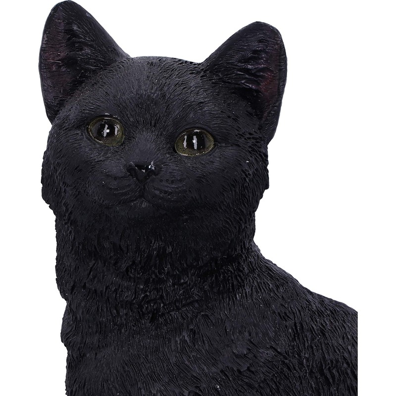 Nemesis Now Familiar Fate 24.3cm Black Witches Cat and Skull